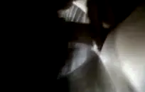 الحمار كبيرة الأبنوس جبهة تحرير مورو الإسلامية يأخذ الديك في الكلب والخشن شاعر المليون.