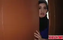 تحب نجوم البورنو مص قضيب كبير أسود.